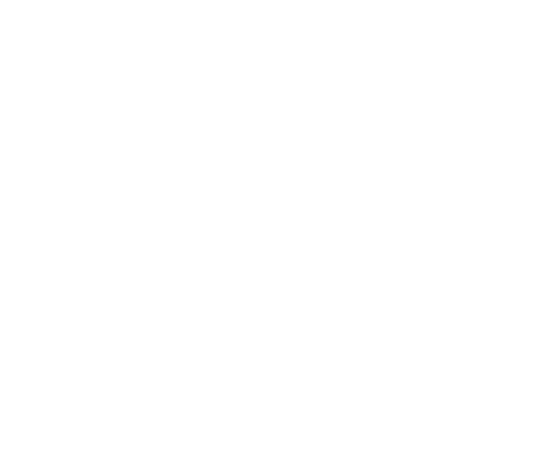 Premiere-FestivalRio